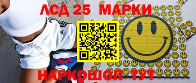 гашик Моздок