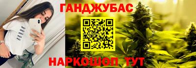 гашик Моздок